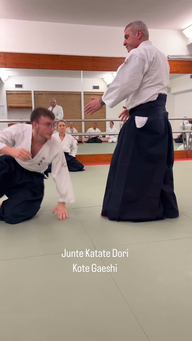Instagram post from united.aikido.endokan. This post is in position 7.