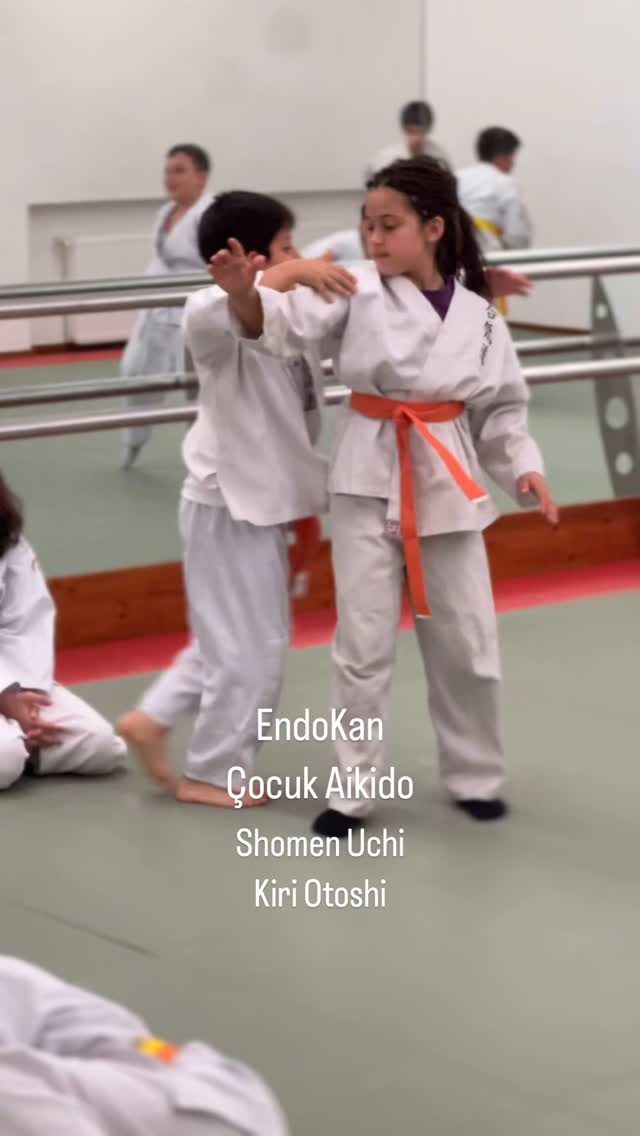 Instagram post from united.aikido.endokan. This post is in position 6.