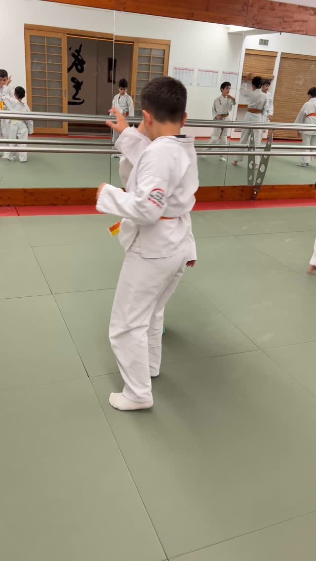 Instagram post from united.aikido.endokan. This post is in position 0.