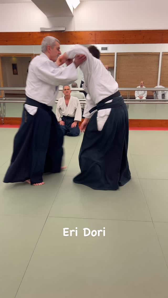 Instagram post from united.aikido.endokan. This post is in position 1.