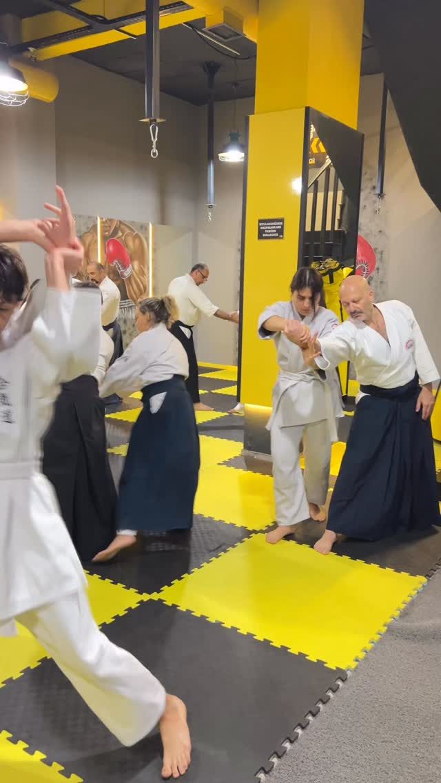 Instagram post from united.aikido.endokan. This post is in position 6.