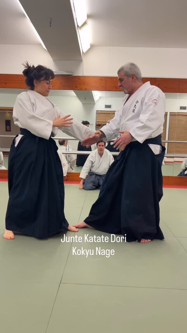 Instagram post from united.aikido.endokan. This post is in position 2.