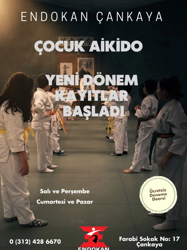 Instagram post from united.aikido.endokan. This post is in position 6.