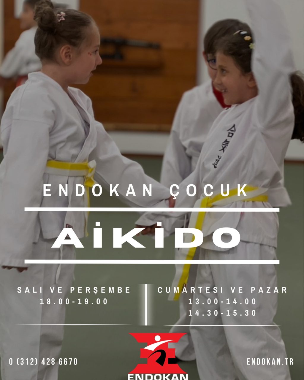 Instagram post from united.aikido.endokan. This post is in position 4.