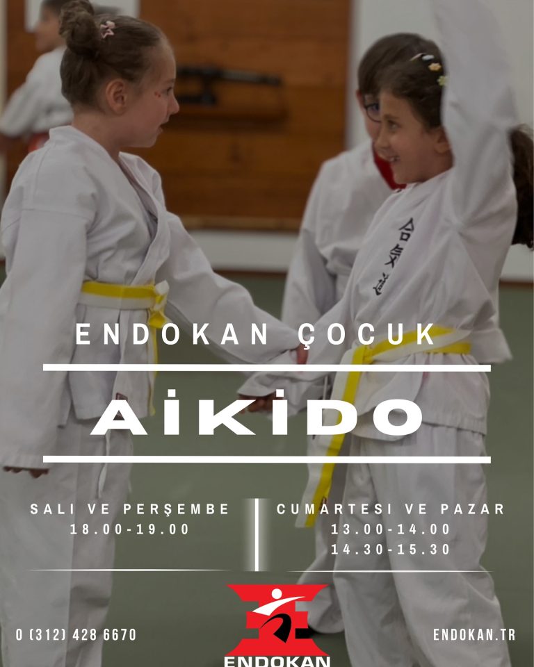 Instagram post from united.aikido.endokan. This post is in position 5.