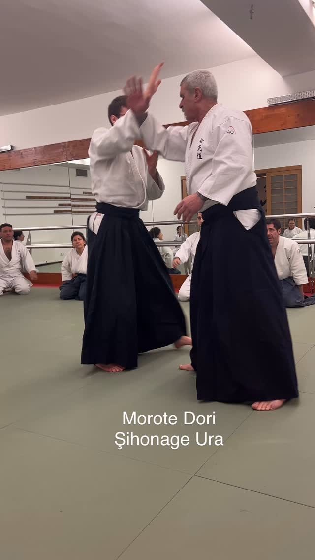 Instagram post from united.aikido.endokan. This post is in position 2.