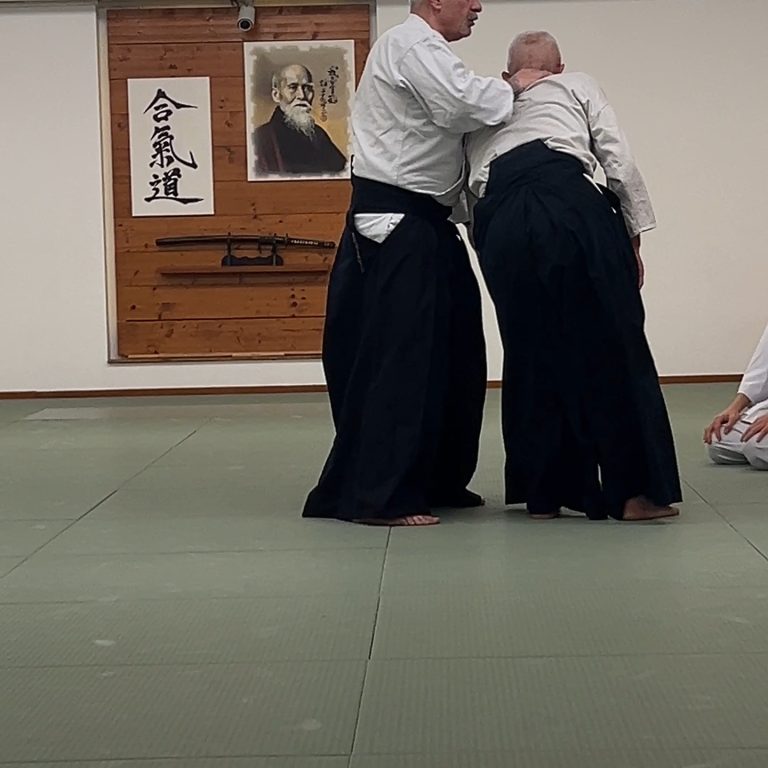 Instagram post from united.aikido.endokan. This post is in position 1.