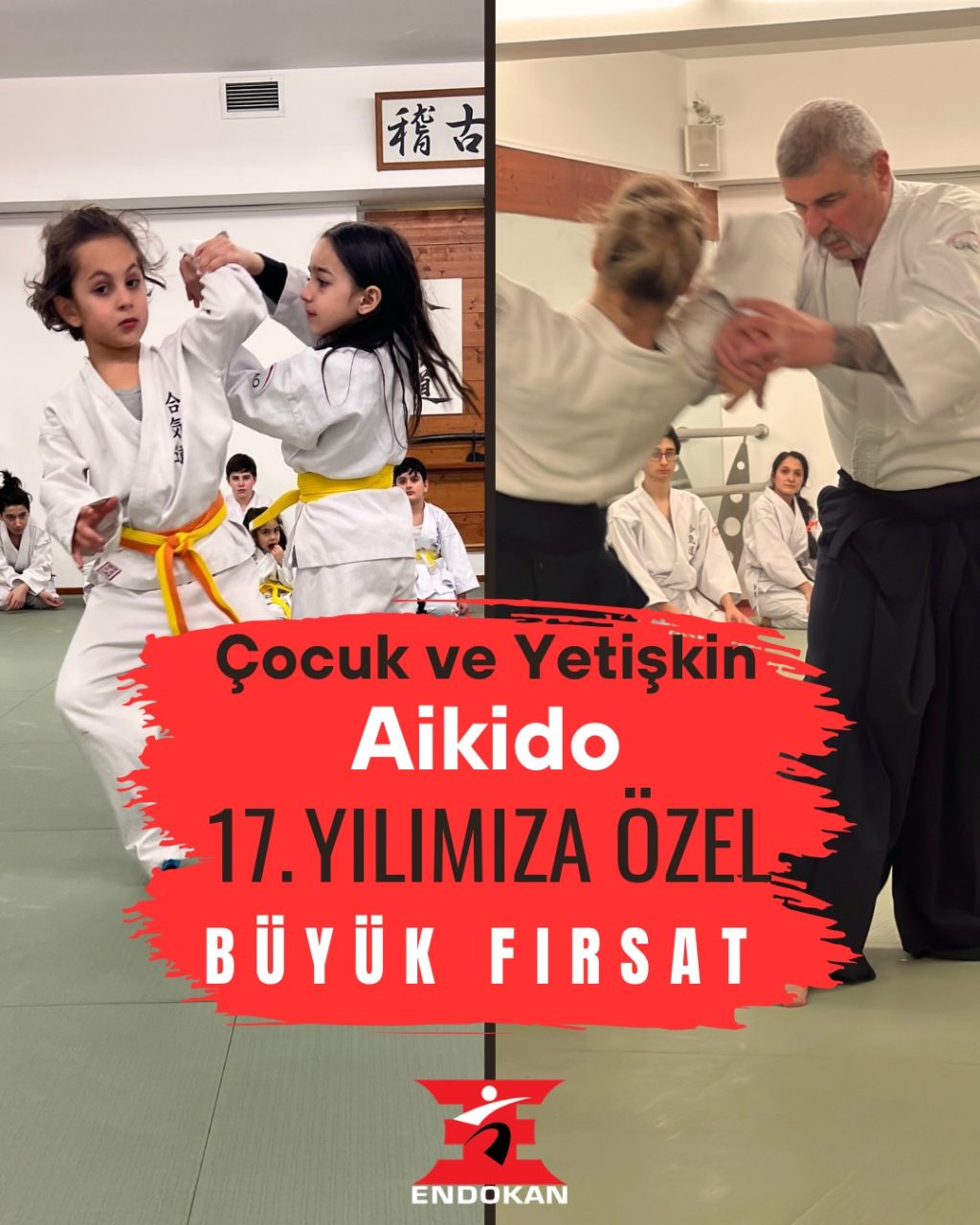 Instagram post from united.aikido.endokan. This post is in position 0.