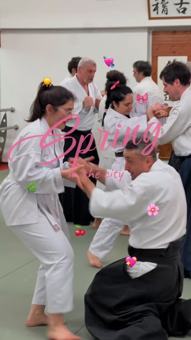 Instagram post from united.aikido.endokan. This post is in position 0.