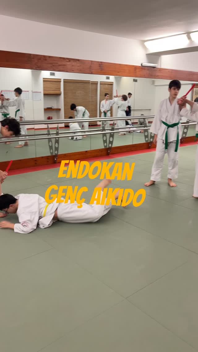 Instagram post from united.aikido.endokan. This post is in position 2.