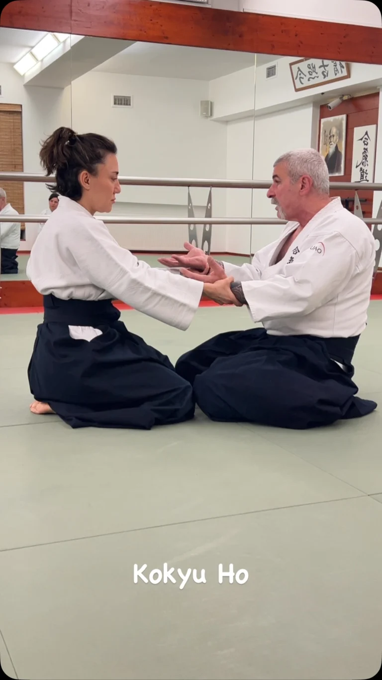 Instagram post from united.aikido.endokan. This post is in position 8.