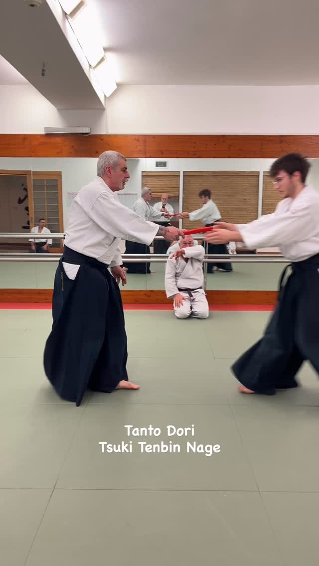 Instagram post from united.aikido.endokan. This post is in position 2.