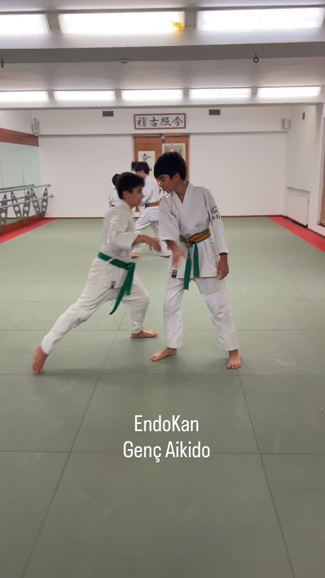 Instagram post from united.aikido.endokan. This post is in position 1.