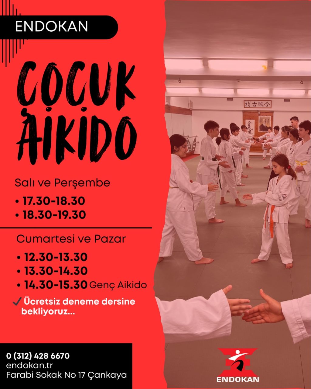 Instagram post from united.aikido.endokan. This post is in position 5.