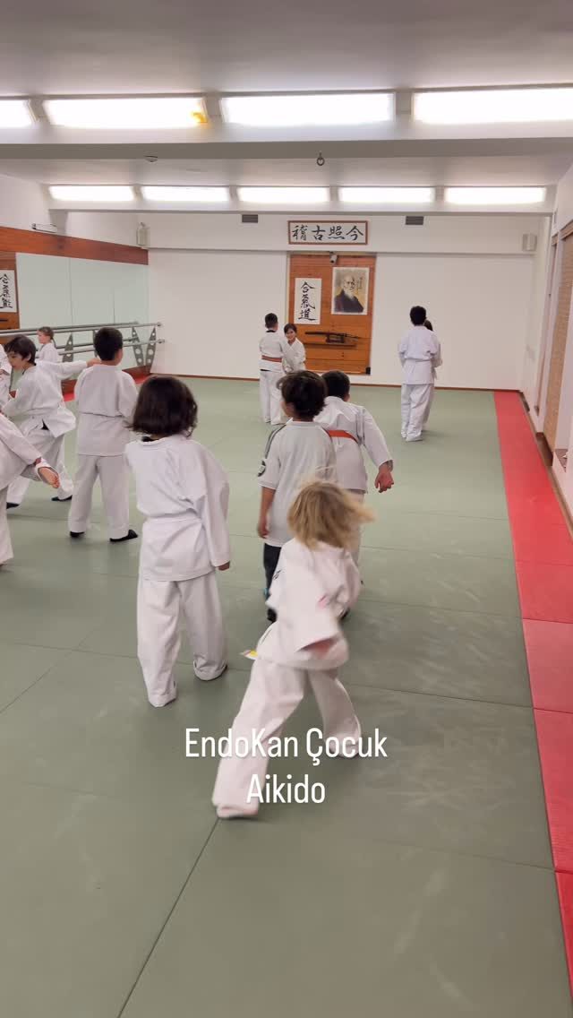 Instagram post from united.aikido.endokan. This post is in position 1.