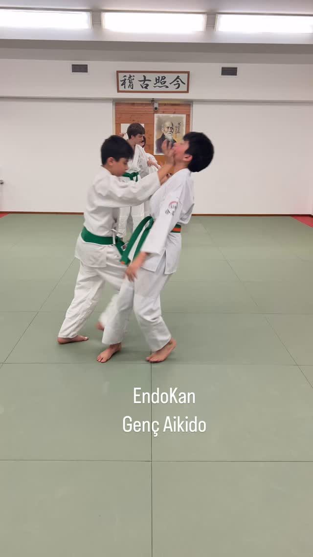 Instagram post from united.aikido.endokan. This post is in position 9.