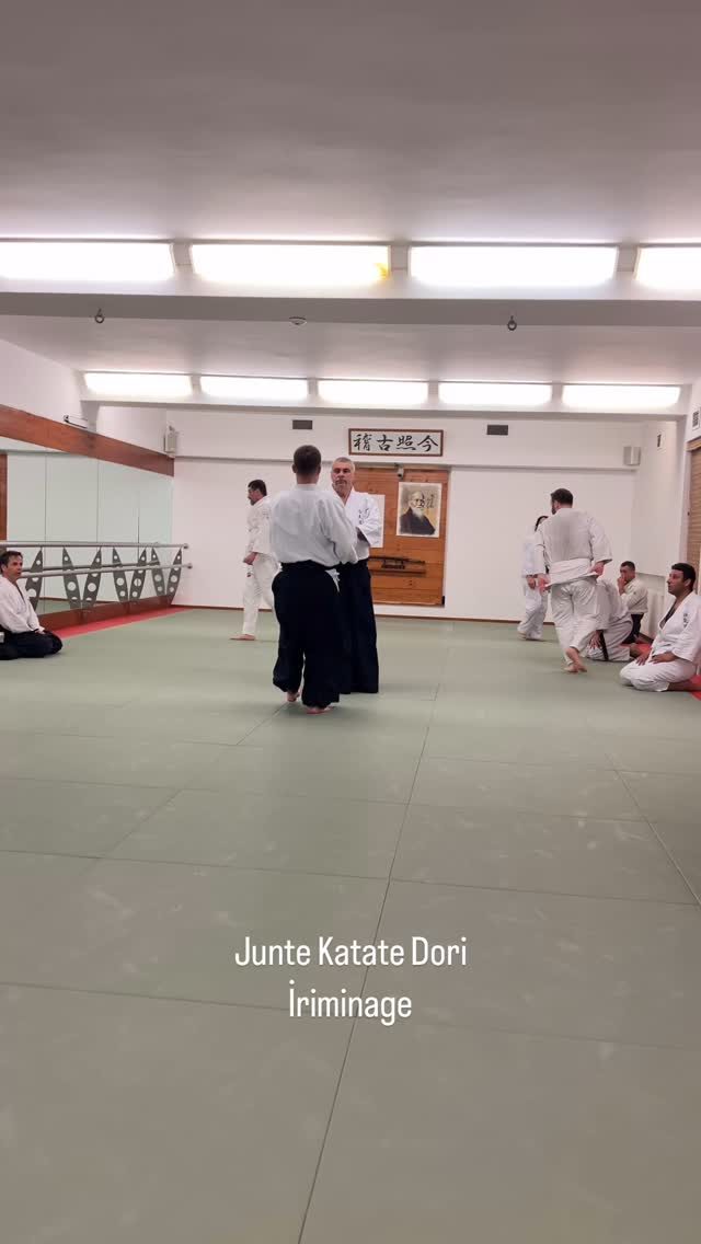 Instagram post from united.aikido.endokan. This post is in position 1.