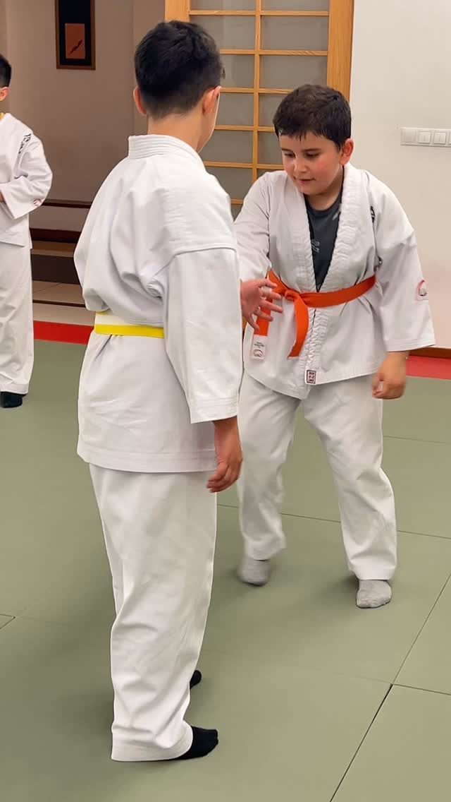 Instagram post from united.aikido.endokan. This post is in position 0.