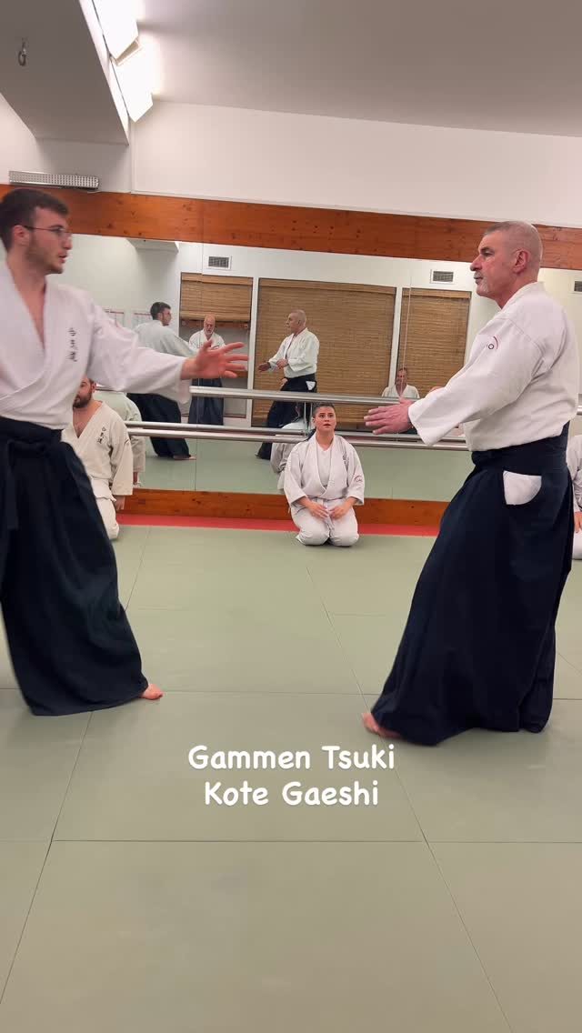 Instagram post from united.aikido.endokan. This post is in position 5.