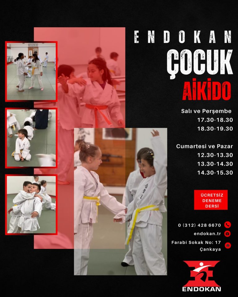 Instagram post from united.aikido.endokan. This post is in position 10.
