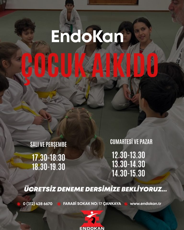 Instagram post from united.aikido.endokan. This post is in position 1.