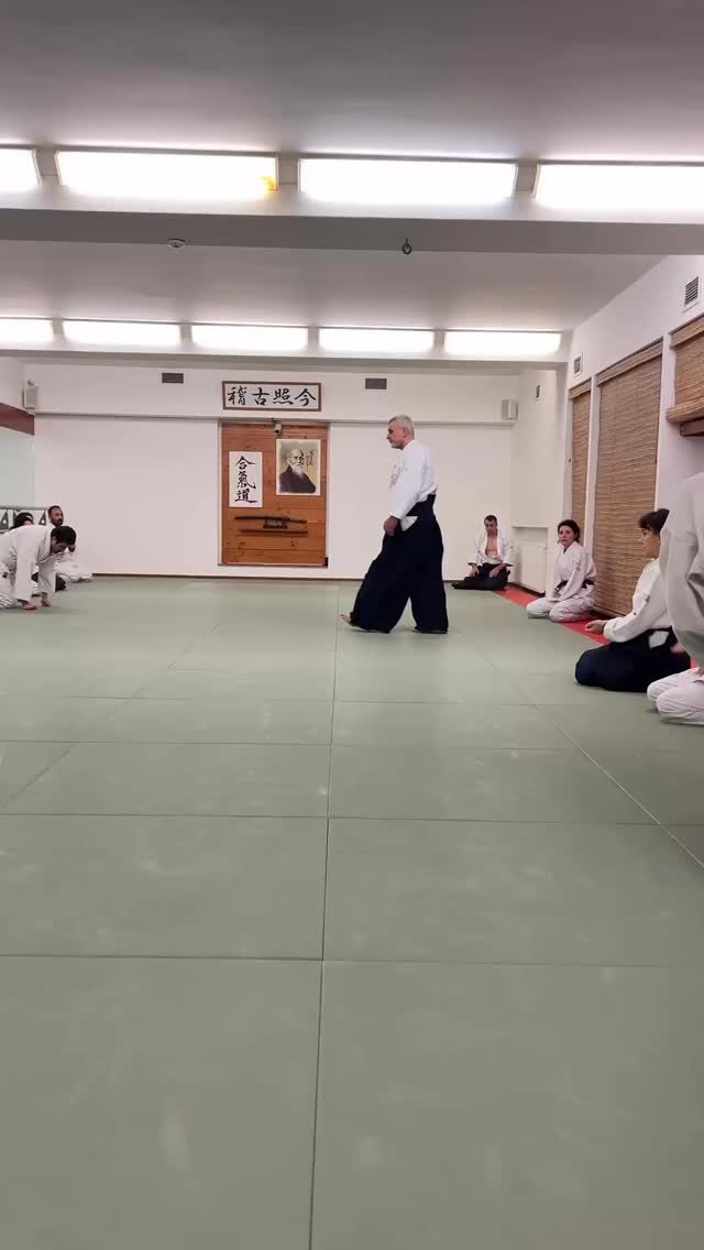 Instagram post from united.aikido.endokan. This post is in position 1.