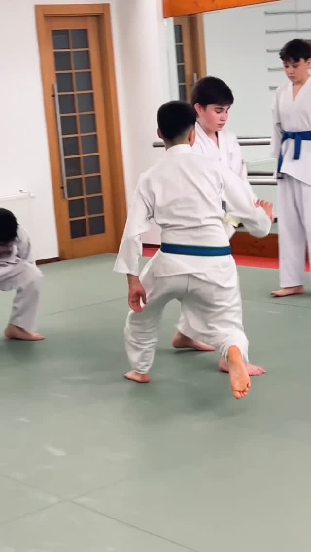 Instagram post from united.aikido.endokan. This post is in position 0.