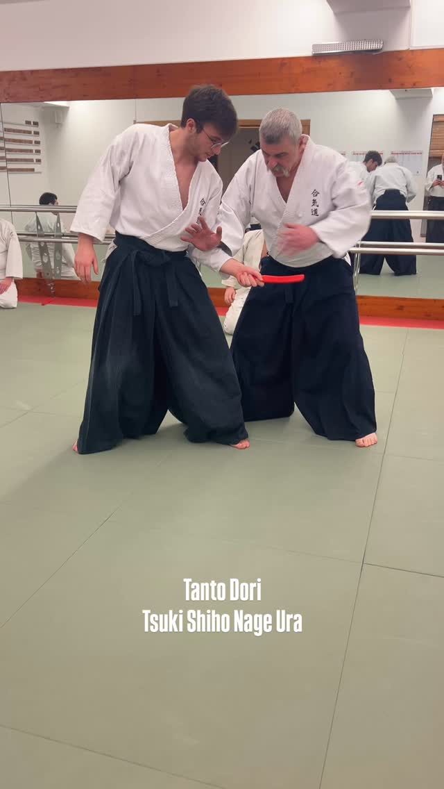 Instagram post from united.aikido.endokan. This post is in position 1.