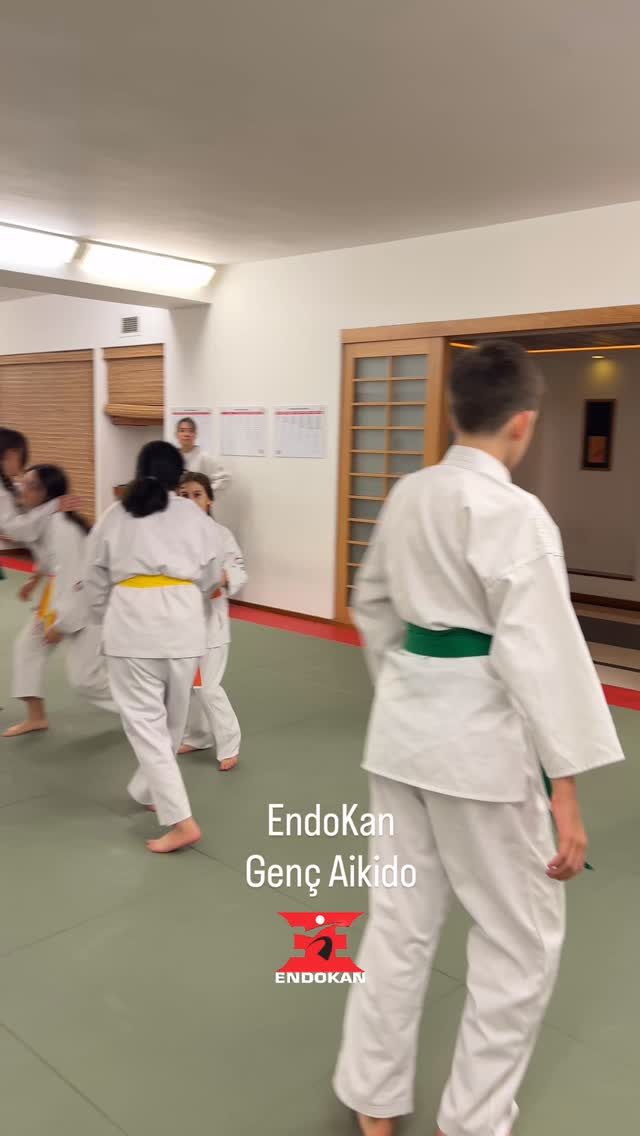 Instagram post from united.aikido.endokan. This post is in position 7.