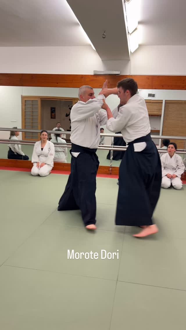 Instagram post from united.aikido.endokan. This post is in position 2.
