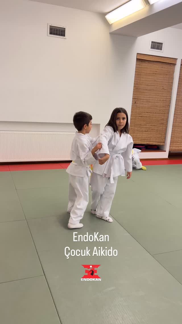 Instagram post from united.aikido.endokan. This post is in position 9.