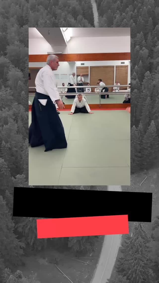 Instagram post from united.aikido.endokan. This post is in position 8.