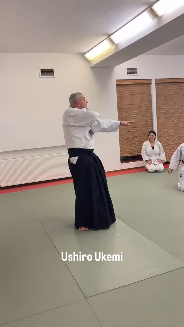 Instagram post from united.aikido.endokan. This post is in position 3.