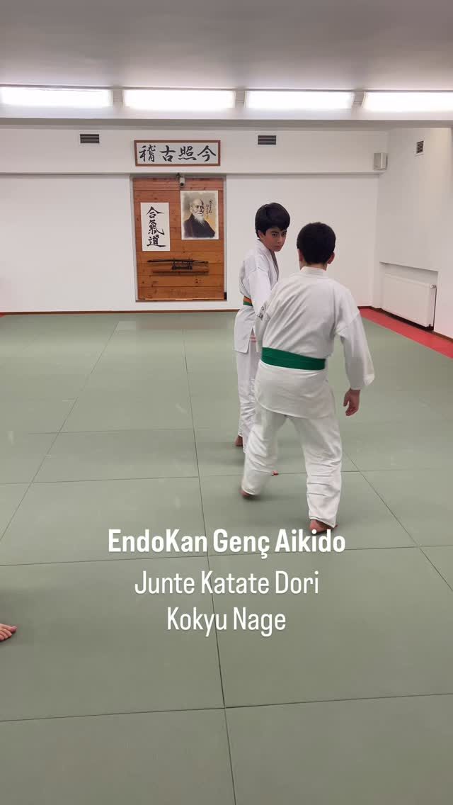 Instagram post from united.aikido.endokan. This post is in position 5.