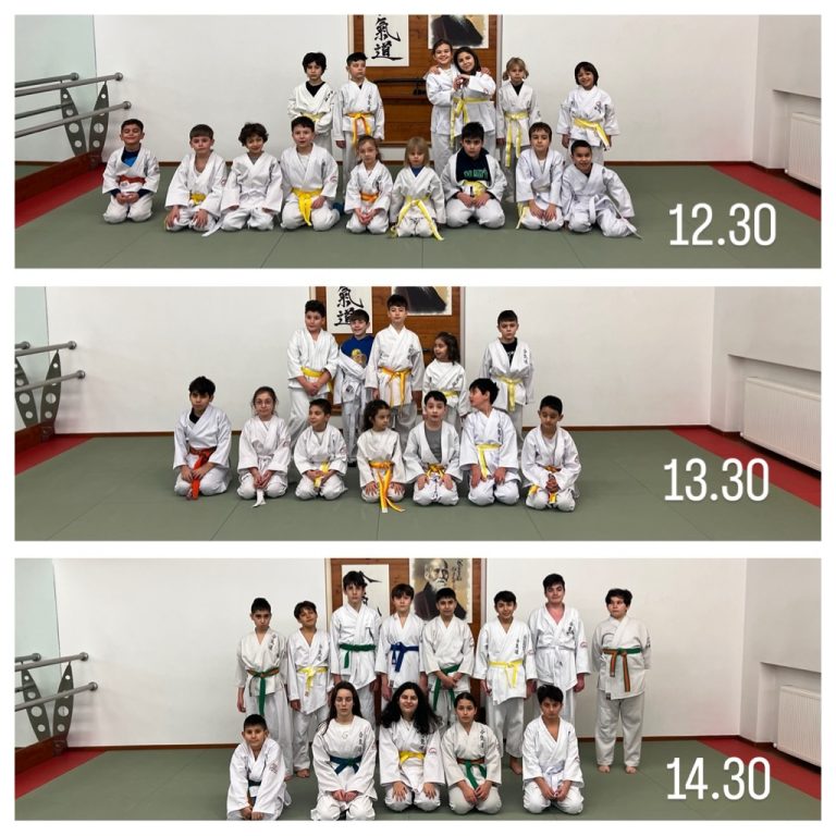 Instagram post from united.aikido.endokan. This post is in position 5.