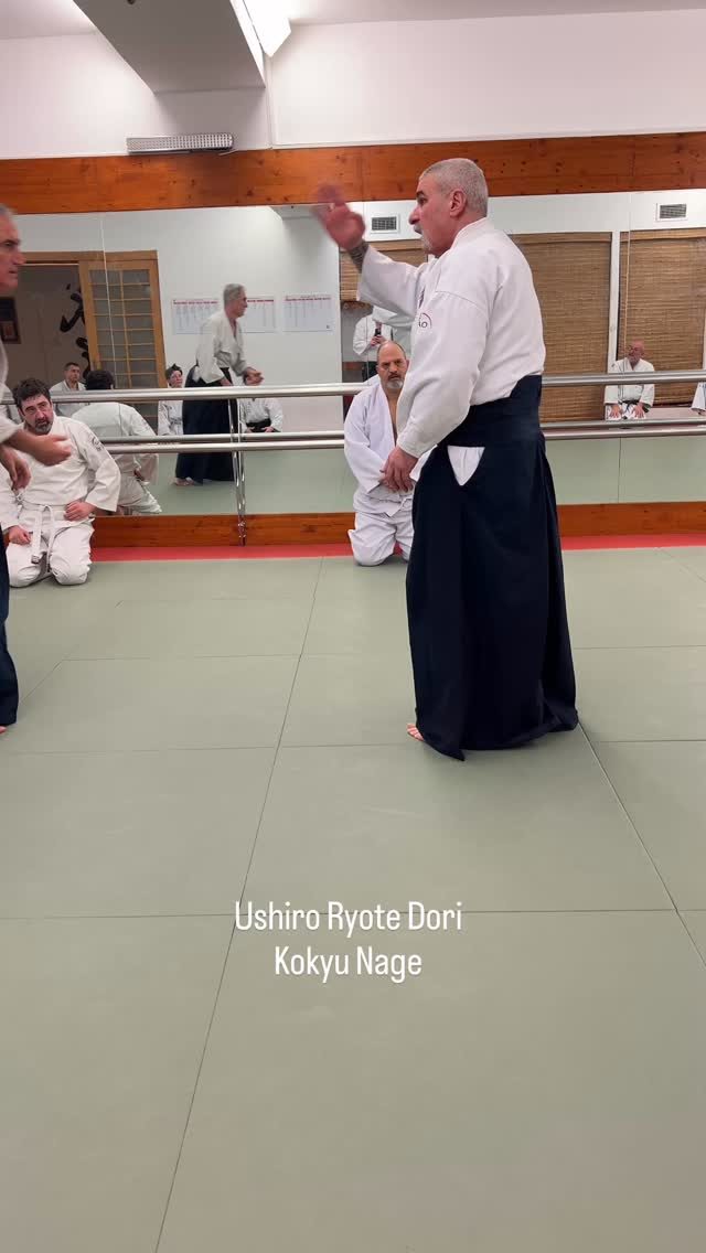 Instagram post from united.aikido.endokan. This post is in position 3.