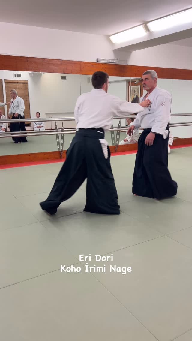 Instagram post from united.aikido.endokan. This post is in position 2.