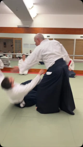 Instagram post from united.aikido.endokan. This post is in position 3.