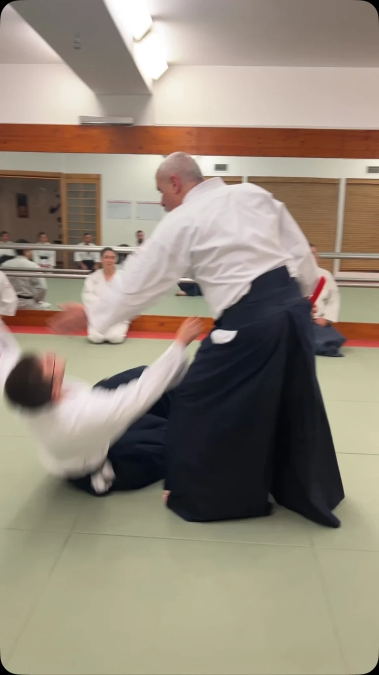 Instagram post from united.aikido.endokan. This post is in position 2.